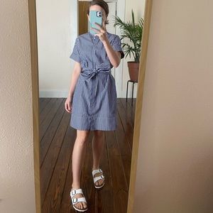 Everlane cotton poplin shirtdress